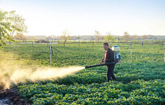 农民洒土豆种植园抗真菌化学化学物质农业战斗真菌感染昆虫农业农业综合企业农业行业