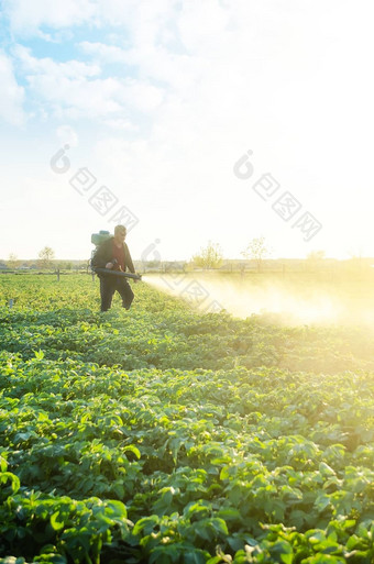 农民喷雾土豆种植园<strong>农药</strong>保护昆虫植物真菌感染化学物质农业农业农业综合企业农业行业