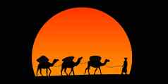 骆驼商队轮廓日落沙漠