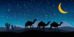景观骆驼轮廓晚上