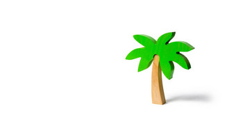 木棕榈树孤立的背景概念上的休闲假期娱乐放松旅游邮轮温暖的国家发展旅游热带岛