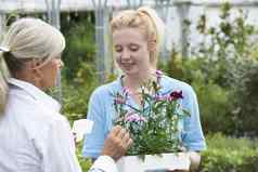 工作人员给植物建议女客户花园中心