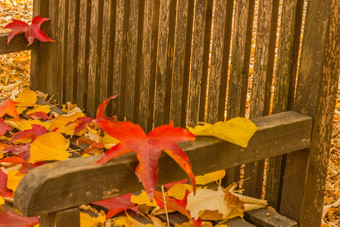 树叶枕头板凳上林地