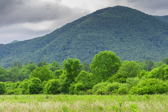 <strong>烟</strong>雾缭绕的山背景<strong>春天</strong>