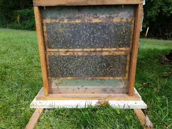 蜂巢木盒子