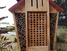木蜜蜂房子蜂巢小孔