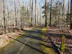沥青小道路径森林森林一半英里标记