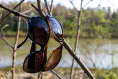 保护太阳眼镜树分支河