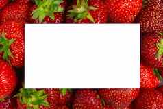 多汁的有机草莓背景白色模型卡
