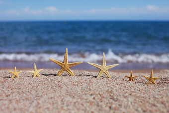 海星海滩桑迪海滩波夏天假期概念假期海