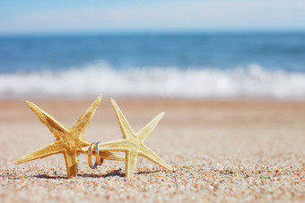 海星婚礼环海滩夏天假期概念家庭假期海