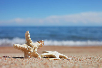 海星婚礼环海滩夏天假期概念家庭假期海