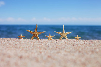 海星海滩桑迪海滩波夏天假期概念假期海