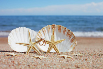 海贝壳海星婚礼环海滩夏天假期概念家庭假期海