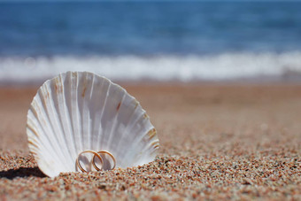 海贝壳婚礼环海滩夏天假期概念家庭假期海