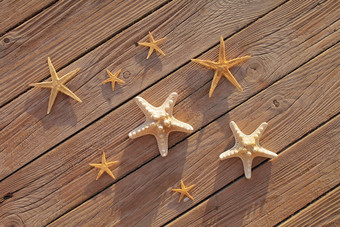 海星木码头倒木甲板夏天假期概念假期海