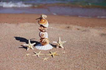 海贝壳海星海滩桑迪海滩波夏天假期概念假期海