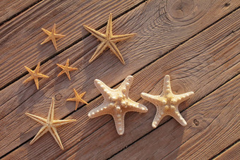 海星木码头倒木甲板夏天假期概念假期海