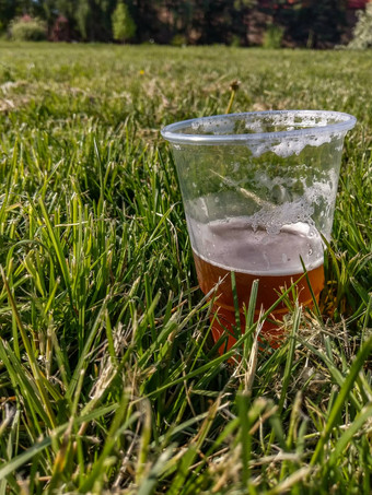 一半喝醉了杯啤酒绿色草