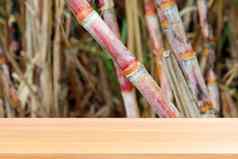 木板材甘蔗新鲜的种植园背景空木表格地板糖狗农场木表格董事会空前面甘蔗模拟显示产品糖狗汁糖蜜