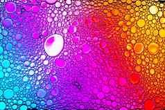 色彩斑斓的滴石油水彩虹光谱彩色的圈摘要明亮的背景设计