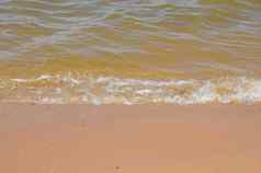 湿沙子海滩波贝壳