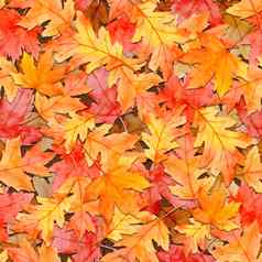 金秋天叶子无缝的模式水彩风格秋天背景平躺前视图