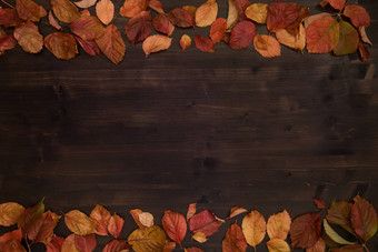 秋天复制空间前视图红色的维吉尼亚州爬虫parthenocissusquinquefolia叶子阴影红色的橙色黑暗棕色（的）木背景