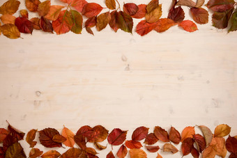 秋天复制空间角视图红色的维吉尼亚州爬虫parthenocissusquinquefolia叶子阴影红色的橙色白色木背景