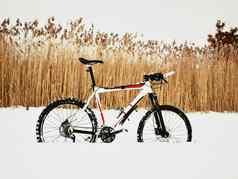 山自行车保持雪雪融化黑暗路轮胎