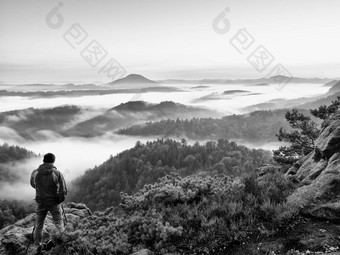 旅游红色的户外防风夹克矮松树秋天丘陵景观