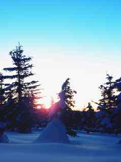冬天晚上山粉雪覆盖森林