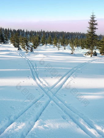 方法交叉国家滑雪冬天山