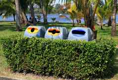 本垃圾本塑料塑料浪费本类型浪费回收树墙花园公共