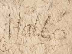孩子们画词你好沙子海滩湾信写沙子