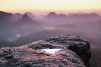 梦幻有雾的早....森林景观雄伟的山峰减少照明雾深谷