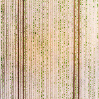 空中视图场年轻的土豆植物几何效果新鲜的犁跟踪场摘要效果垂直角行背景