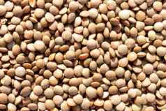 关闭棕色（的）小扁豆种子背景健康的vegeterian食物