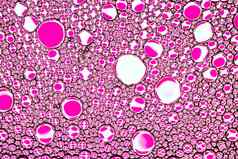 前视图色彩斑斓的滴石油水圈椭圆摘要粉红色的背景设计