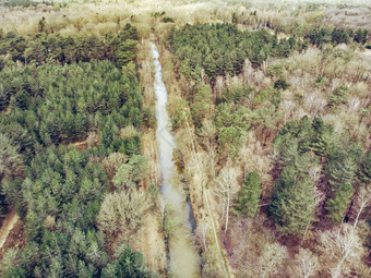 空中无人机拍摄森林河运河运行早期春天