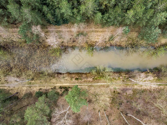 空中无人机拍摄直森林河运河运行早期春天