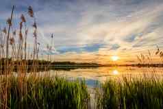 风景优美的视图美丽的日落池塘