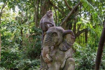 <strong>猴子</strong>座位石头大象放松影子概念动物护理旅行野生动物观察