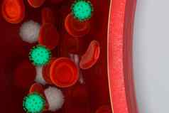 病毒血船红色的白色血细胞呈现