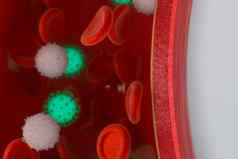 病毒血船红色的白色血细胞呈现