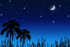 椰子树月亮星星