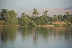 视图河尼罗河埃及显示卢克索西银行