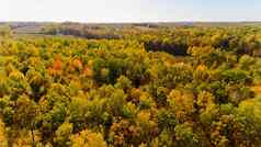 空中视图色彩斑斓的秋天森林