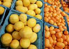 托盘柑橘类水果金橘limequats铺设出售
