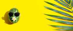 西瓜太阳镜热带棕榈叶子黄色的
